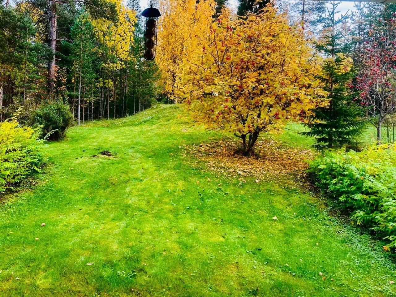 Holiday Home, Entire Home Rovaniemi Kültér fotó